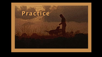 practice